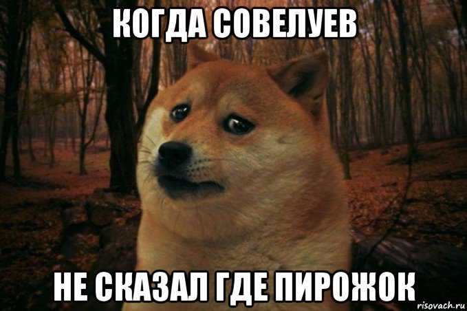 когда совелуев не сказал где пирожок, Мем SAD DOGE