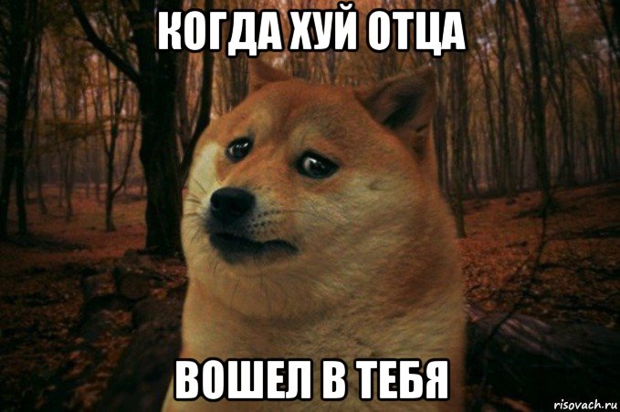 когда хуй отца вошел в тебя, Мем SAD DOGE