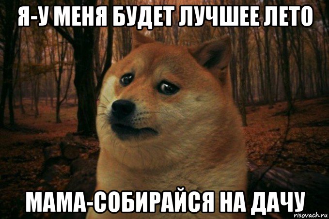 я-у меня будет лучшее лето мама-собирайся на дачу, Мем SAD DOGE