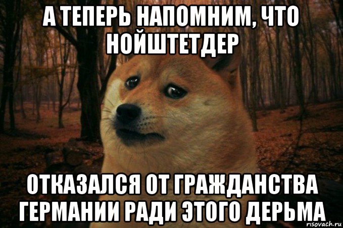 а теперь напомним, что нойштетдер отказался от гражданства германии ради этого дерьма, Мем SAD DOGE