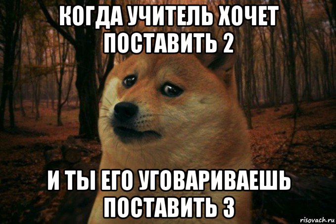 когда учитель хочет поставить 2 и ты его уговариваешь поставить 3, Мем SAD DOGE