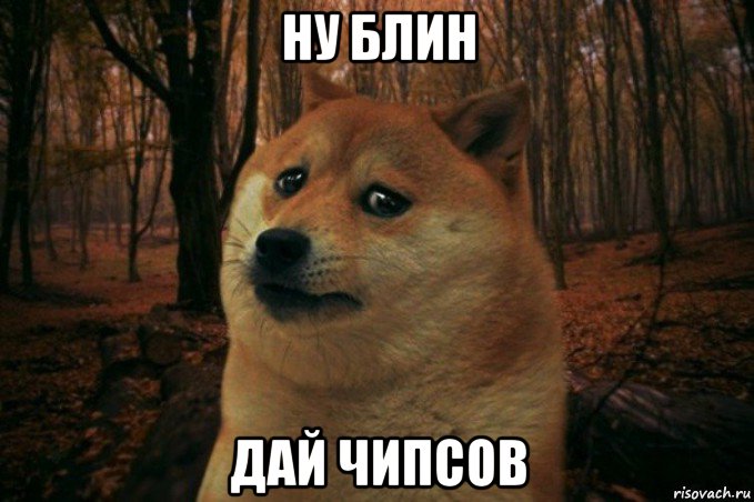 ну блин дай чипсов, Мем SAD DOGE