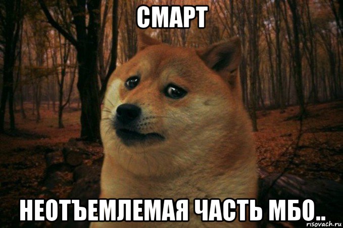 смарт неотъемлемая часть мбо.., Мем SAD DOGE