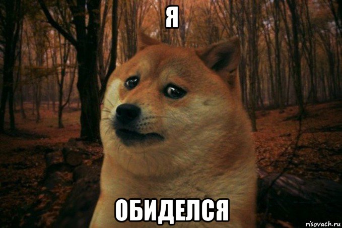 я обиделся, Мем SAD DOGE