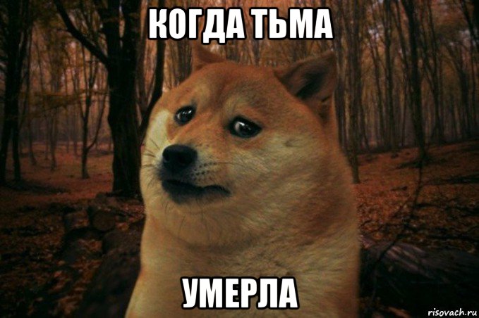 когда тьма умерла, Мем SAD DOGE