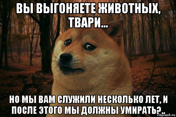 вы выгоняете животных, твари... но мы вам служили несколько лет, и после этого мы должны умирать?.., Мем SAD DOGE