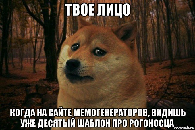 твое лицо когда на сайте мемогенераторов, видишь уже десятый шаблон про рогоносца, Мем SAD DOGE