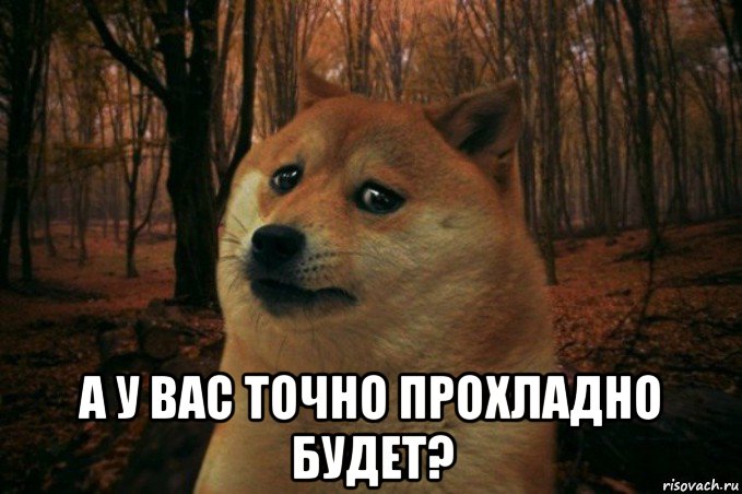  а у вас точно прохладно будет?, Мем SAD DOGE