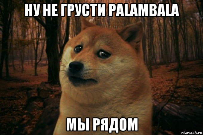 ну не грусти palambala мы рядом, Мем SAD DOGE