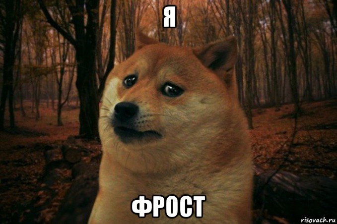 я фрост, Мем SAD DOGE