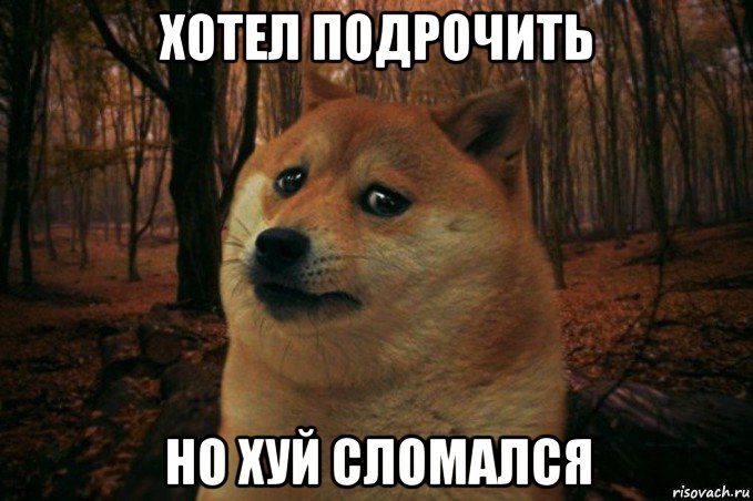 хотел подрочить но хуй сломался, Мем SAD DOGE