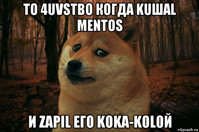 to 4uvstво когда kuшal mentos и zapil eгo koka-kol0й, Мем SAD DOGE