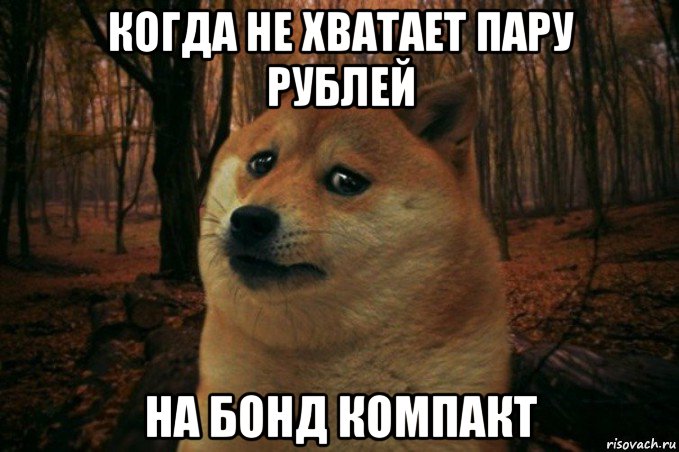 когда не хватает пару рублей на бонд компакт, Мем SAD DOGE