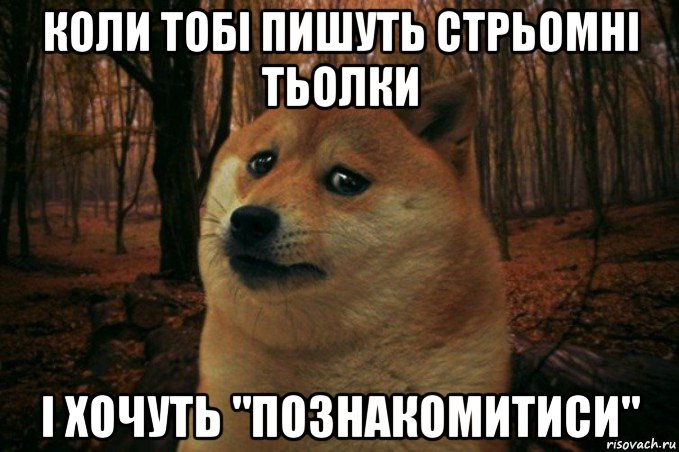 коли тобі пишуть стрьомні тьолки і хочуть "познакомитиси", Мем SAD DOGE