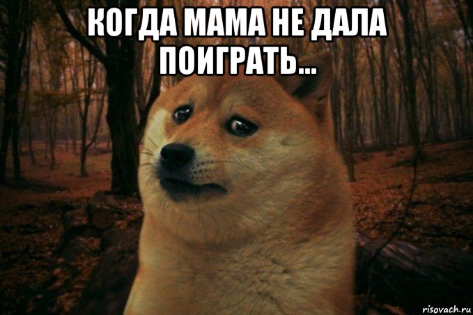 когда мама не дала поиграть... , Мем SAD DOGE