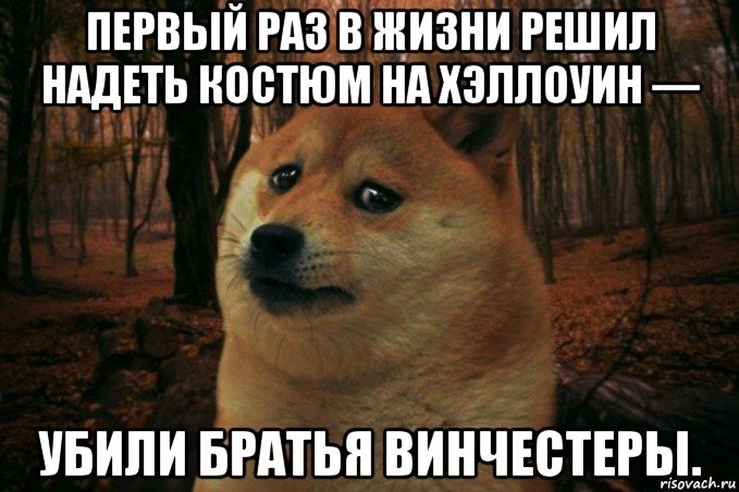 первый раз в жизни решил надеть костюм на хэллоуин — убили братья винчестеры., Мем SAD DOGE