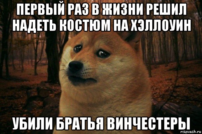 первый раз в жизни решил надеть костюм на хэллоуин убили братья винчестеры, Мем SAD DOGE