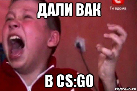 дали вак в cs:go