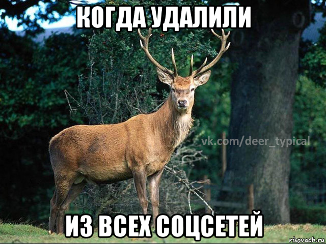 когда удалили из всех соцсетей