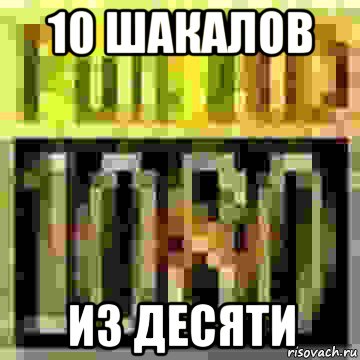 10 шакалов из десяти, Мем Шакал