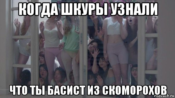 когда шкуры узнали что ты басист из скоморохов, Мем Шкуры узнали