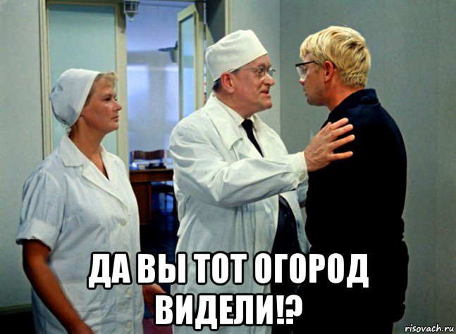  да вы тот огород видели!?, Мем Шурик