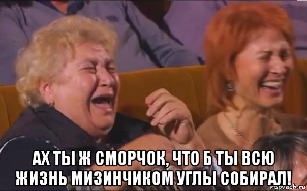  аx ты ж сморчок, что б ты всю жизнь мизинчиком углы собирал!