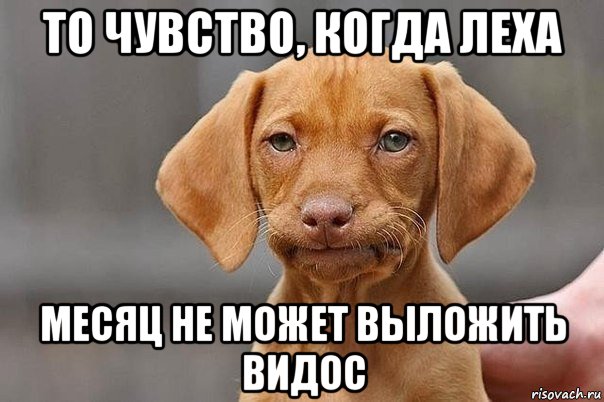 то чувство, когда леха месяц не может выложить видос