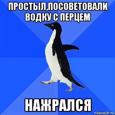 простыл,посоветовали водку с перцем нажрался, Мем  Социально-неуклюжий пингвин