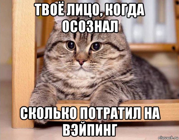твоё лицо, когда осознал сколько потратил на вэйпинг
