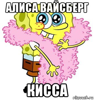 алиса вайсберг кисса, Мем Спанч боб