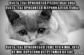 пусть тебе приснятся радостные сны. пусть тебе приснится жаркий блеск луны. пусть тебе присниться тоже что и мне, хоть на миг короткий встретимся во сне!