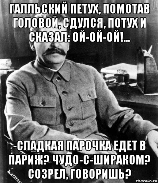 галльский петух, помотав головой, сдулся, потух и сказал: ой-ой-ой!... -сладкая парочка едет в париж? чудо-с-шираком? созрел, говоришь?, Мем  иосиф сталин