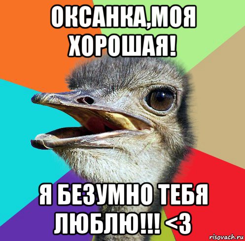 оксанка,моя хорошая! я безумно тебя люблю!!! <3