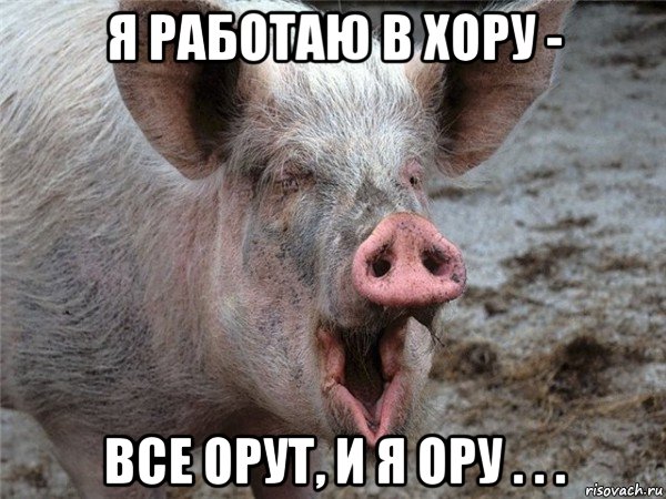 я работаю в хору - все орут, и я ору . . .