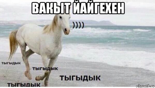 вакыт йайгехен , Мем   Тыгыдык