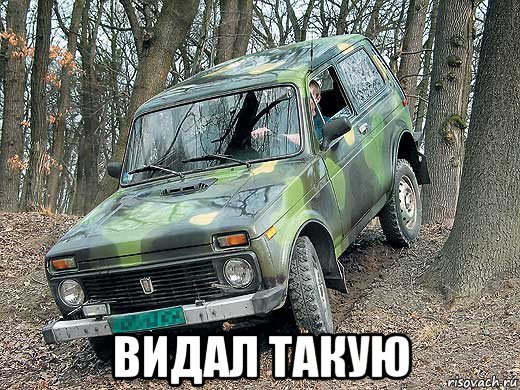  видал такую