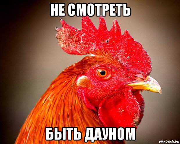 не смотреть быть дауном