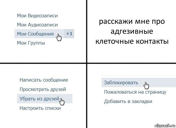 расскажи мне про адгезивные клеточные контакты, Комикс  Удалить из друзей