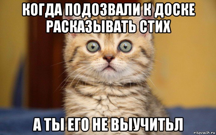 когда подозвали к доске расказывать стих а ты его не выучитьл, Мем  удивление