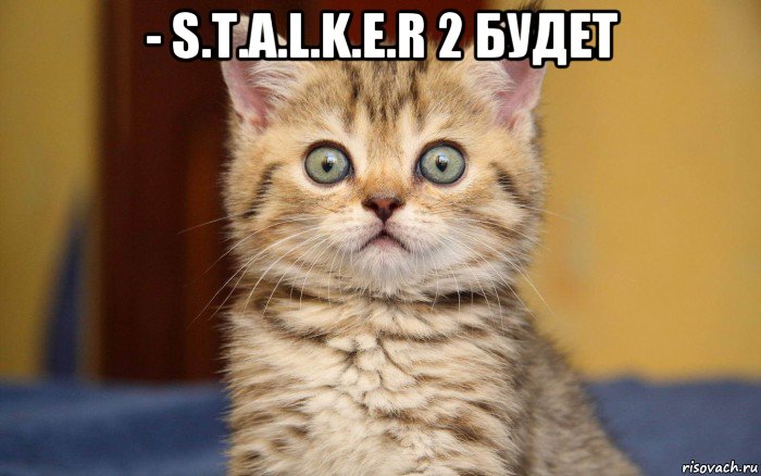 - s.t.a.l.k.e.r 2 будет , Мем  удивление