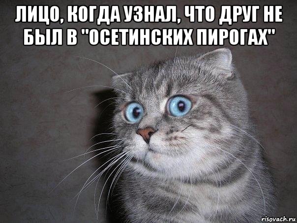 лицо, когда узнал, что друг не был в "осетинских пирогах" , Мем  удивлённый кот