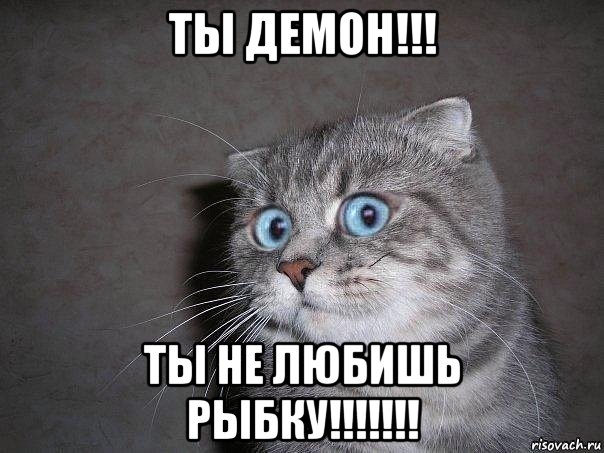 ты демон!!! ты не любишь рыбку!!!!!!!, Мем  удивлённый кот