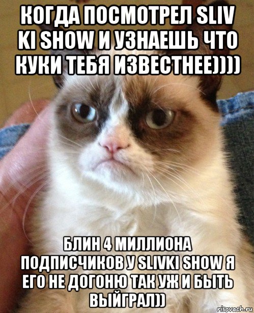 когда посмотрел sliv ki show и узнаешь что куки тебя известнее)))) блин 4 миллиона подписчиков у slivki show я его не догоню так уж и быть выйграл)), Мем Угрюмый кот