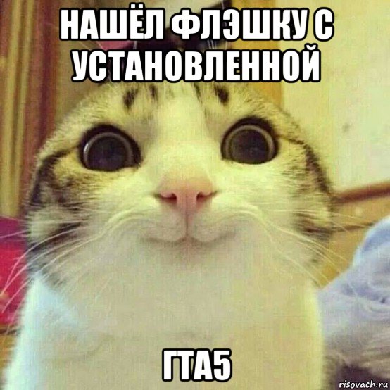 нашёл флэшку с установленной гта5