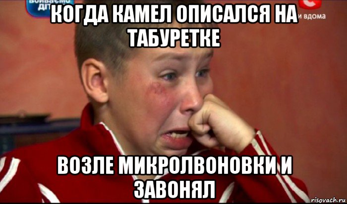 когда камел описался на табуретке возле микролвоновки и завонял, Мем  Сашок Фокин