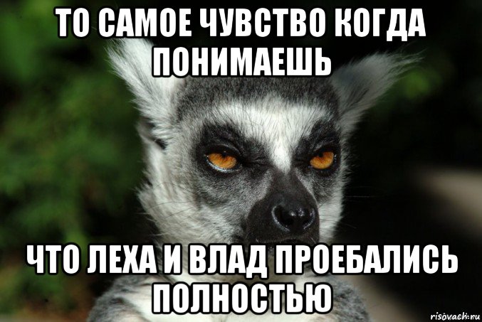 то самое чувство когда понимаешь что леха и влад проебались полностью, Мем   Я збагоен