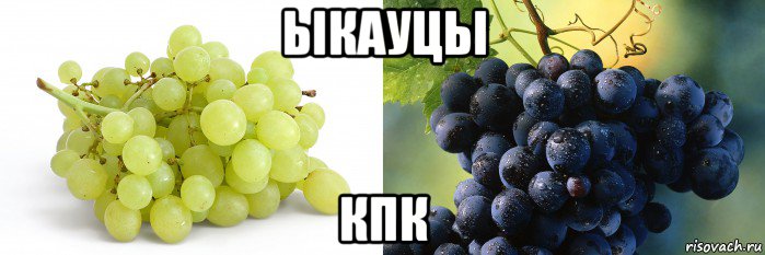 ыкауцы кпк