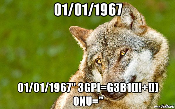 01/01/1967 01/01/1967" 3gpi=g3b1([!+!]) onu=", Мем   Volf