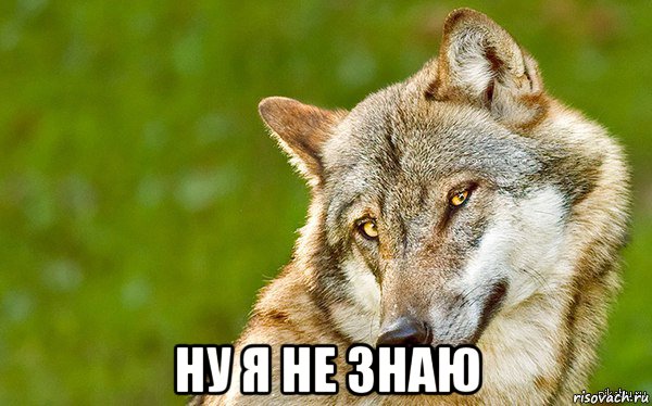  ну я не знаю, Мем   Volf